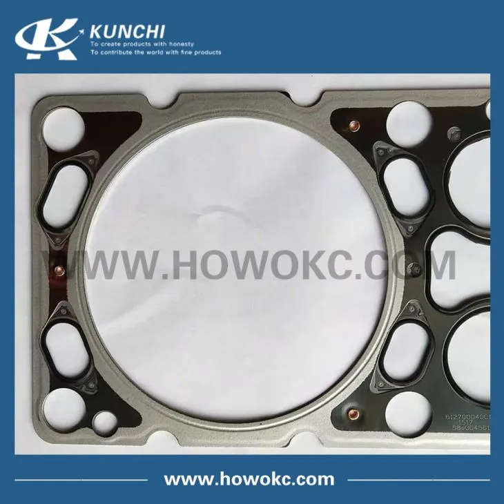 Cylinder Head Gasket 612700040018 WP13